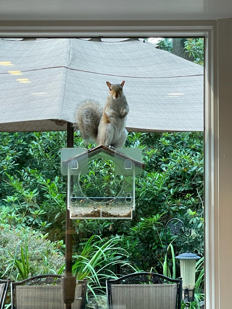 Ultra Hooks Pack of x20 Type A (Includes x12 Large x8 Small Pad Hooks)