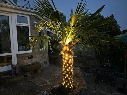Camping String Lamp / 8.8m