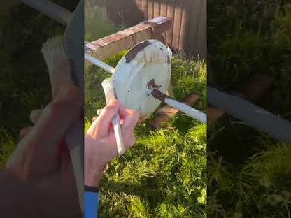 EVERGREEN 3 in 1 Rust Converter Primer & Paint