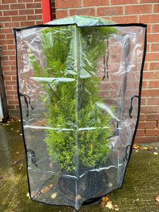 Plant & Tree Bag Protector