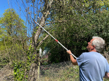 Load image into Gallery viewer, Long Reach Pruner (Including Saw Blade)
