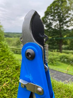 Reversible 2 in 1 Shear Loppers