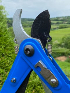 Reversible 2 in 1 Shear Loppers
