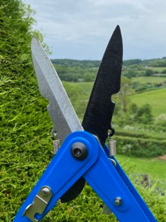 Reversible 2 in 1 Shear Loppers